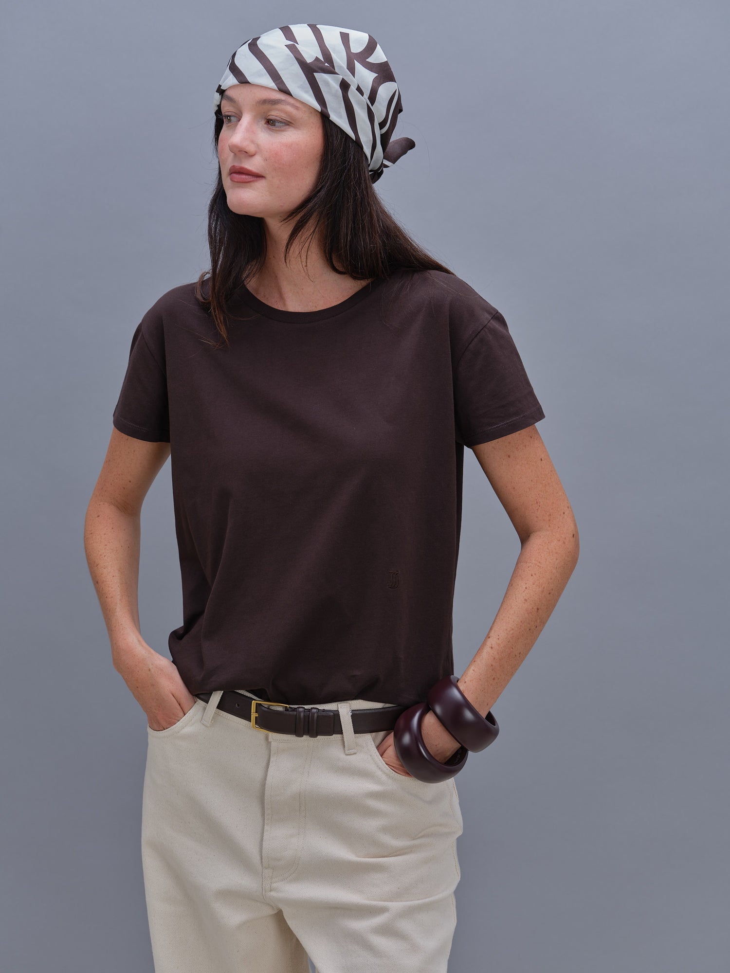 Marlon T-shirt brown supima